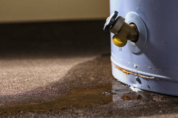 Best Local water damage restoration  in Waconia, MN