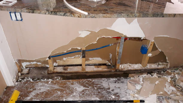 Best Flooded house restoration  in Waconia, MN
