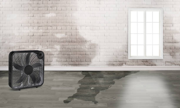 Best Sewage cleanup and water damage restoration  in Waconia, MN