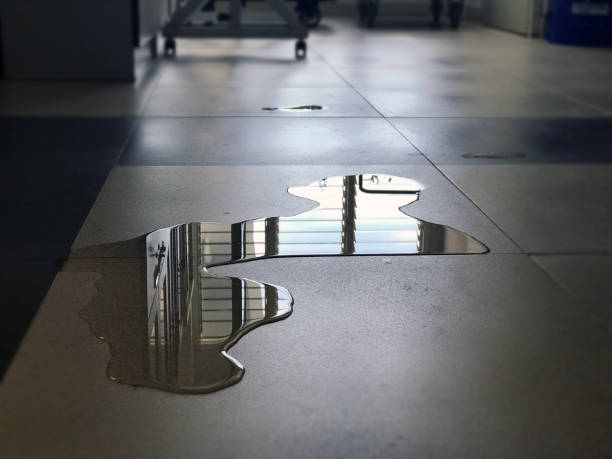 Best Emergency water damage restoration  in Waconia, MN
