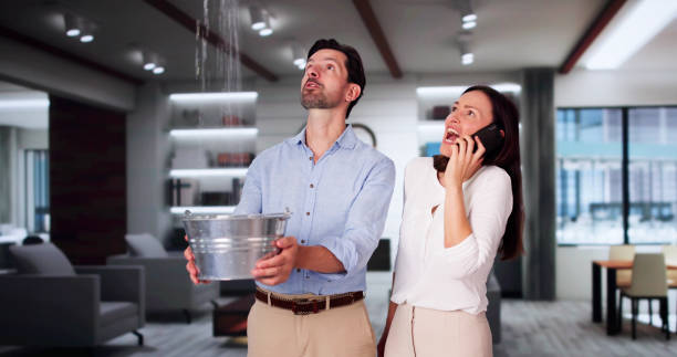 Best Water damage repair service  in Waconia, MN