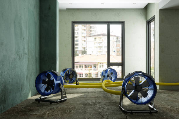 Best Fire Damage Restoration  in Waconia, MN